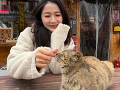-辛庄国际文化艺术区