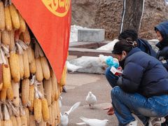 -白鹿原影视城