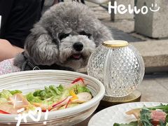 -弗兰克牛排西餐厅 Galla R By Ribone(上海首店)