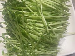 -海底捞火锅(金光华店)