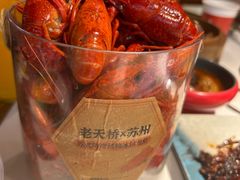 -老天桥蛙炉火锅(姑苏总店)