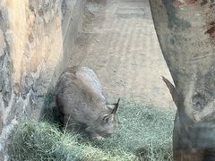 -青藏高原野生动物园