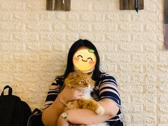 -平行世界·猫咖(首经贸店)