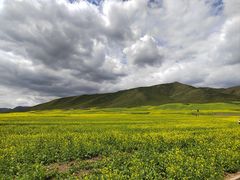 -扁都口生态休闲旅游区