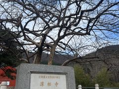 -潭柘寺景区
