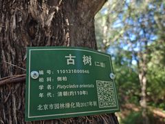-颐和园