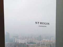 -Yan Ting宴庭中餐厅-长沙瑞吉酒店(运达店)