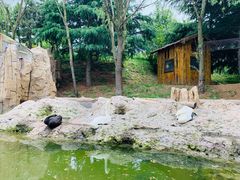 -青岛森林野生动物世界