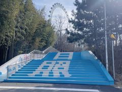 -日照海滨国家森林公园