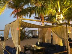 -精酿农场Brew Farm·沙漠绿洲餐厅