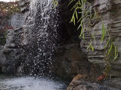 -静之湖湖畔餐厅