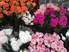 -循礼门鲜花花市(武汉循礼门店)