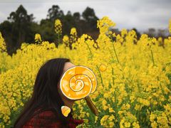 -紫颐香薰山谷景区
