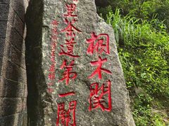 -华祥苑茶馆•国缤茶小蓝罐(普罗旺斯店)