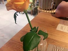 -酒井酱子·深夜食堂(东城汇店)
