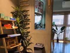 -施奈儿.洗头頭療.按摩SPA.采耳(上梅林店)