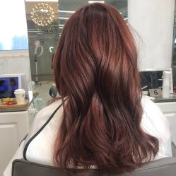 -潘多拉Hairsalon