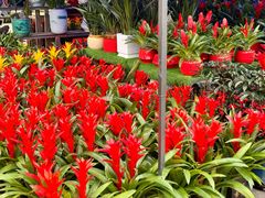 -信基豪泰酒店用品城