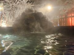 -汉拿山温泉度假酒店