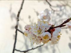 -里口山风景名胜区
