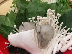 -额尔敦传统涮(体育场店)
