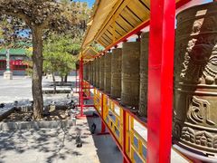 -大召寺明清一条街