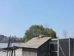-宁波杭州湾国家湿地公园