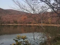 -紫霞湖公园