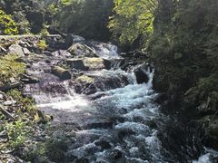 -凤凰山国家森林公园