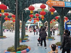 -海合安成都极地海洋公园