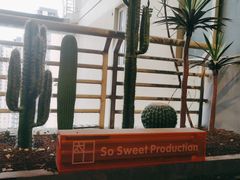 -太爽音乐文化录音棚