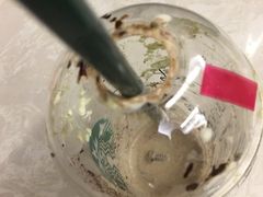 -星巴克(钦江路店)