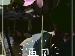 -荔湾湖公园
