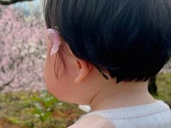 -四季民福烤鸭店(故宫店)