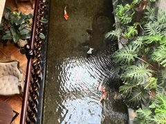 -福禧酒窖·中餐厅 (万柳店)