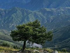 -灵山