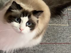 -零纪元VR体验馆·桌游(黄浦店)