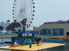 -秦皇岛乐岛海洋王国