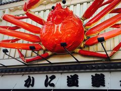 -蟹道乐(道顿堀本店)