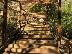 -大岭沟猕猴桃谷风景区