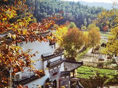 -塔川景区
