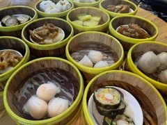 -肥佬夜茶(早茶·西乡店)