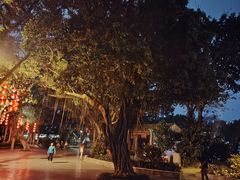 -荔湾湖公园