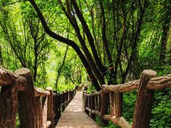 -秦岭终南山世界地质公园翠华山景区