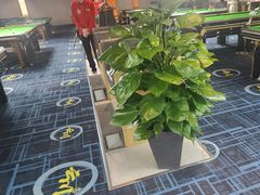 -云川台球(马甸店)