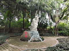 -瑞丽独树成林风景区