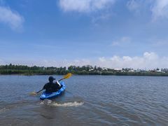 -春花秋色城市公园