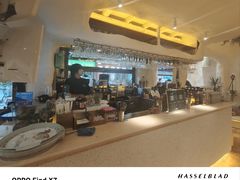 -Sirena海妖日咖夜酒