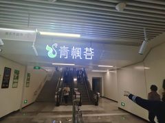 -青枫公园