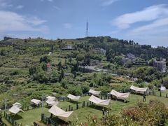 -鼓岭旅游度假区
